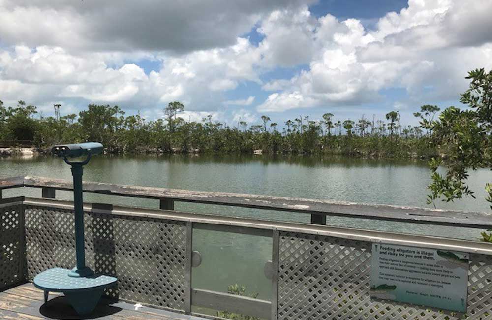 Blue hole lower keys