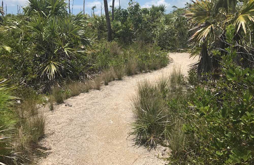 Watson trail lower keys